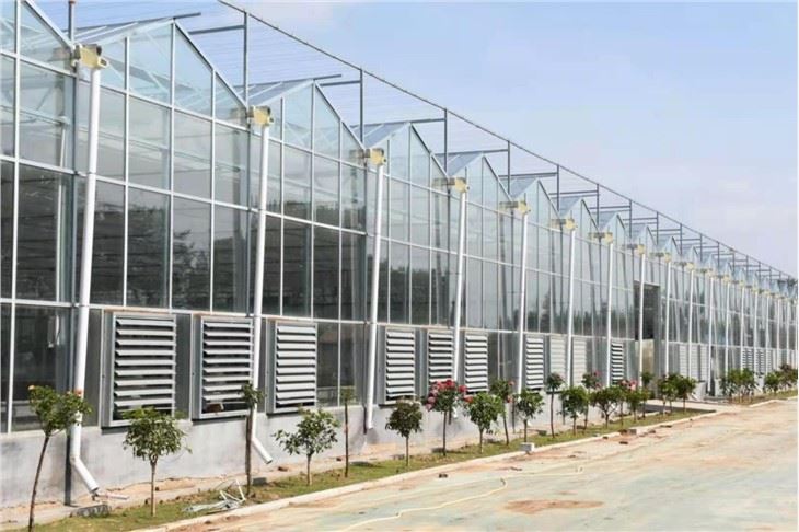 Commercial Greenhouse With Polycarbonate Hollow Sheet