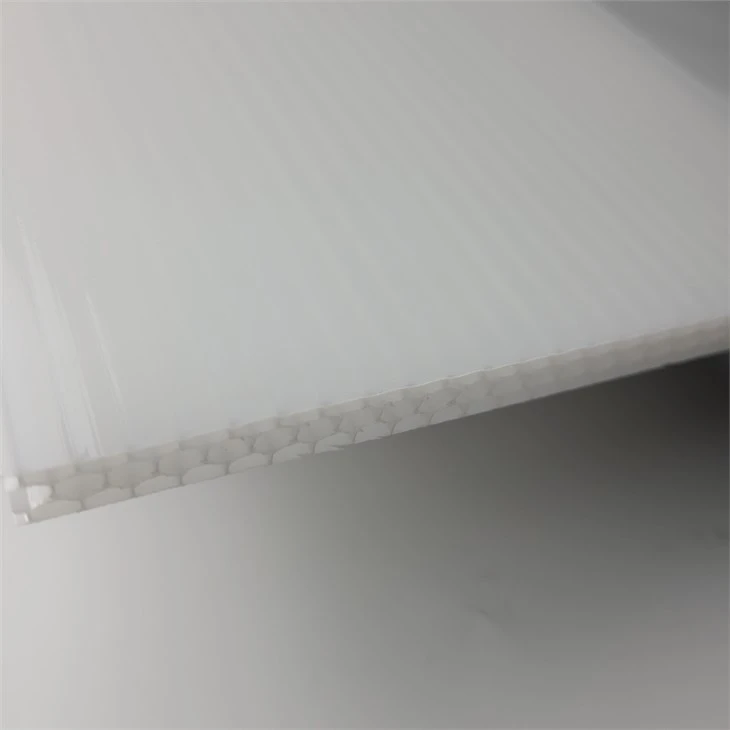 2 4mm Light color Twin Wall Polycarbonate Sheet